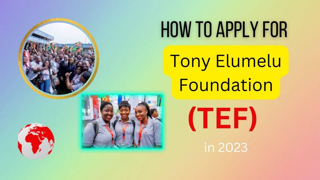 How to apply for Tony Elumelu Foundation (TEF) grant 2023