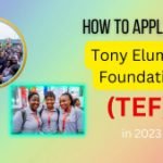How to apply for Tony Elumelu Foundation (TEF) grant 2023