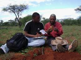 Roles of traditional healers in the society