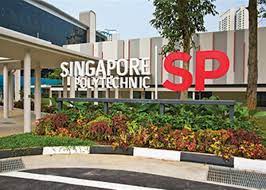 Top best poly in Singapore 2022