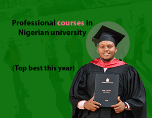 Read more about the article Professional courses in Nigerian university