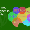 Top best professional web designer and developer in Nigeria