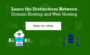 Read more about the article Learn the Distinctions Between Domain Hosting and Web Hosting