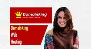 DomainKing web hosting and domain registrar company