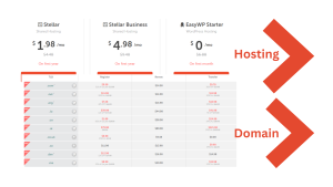 Read more about the article Namecheap hosting and domain (how to buy)