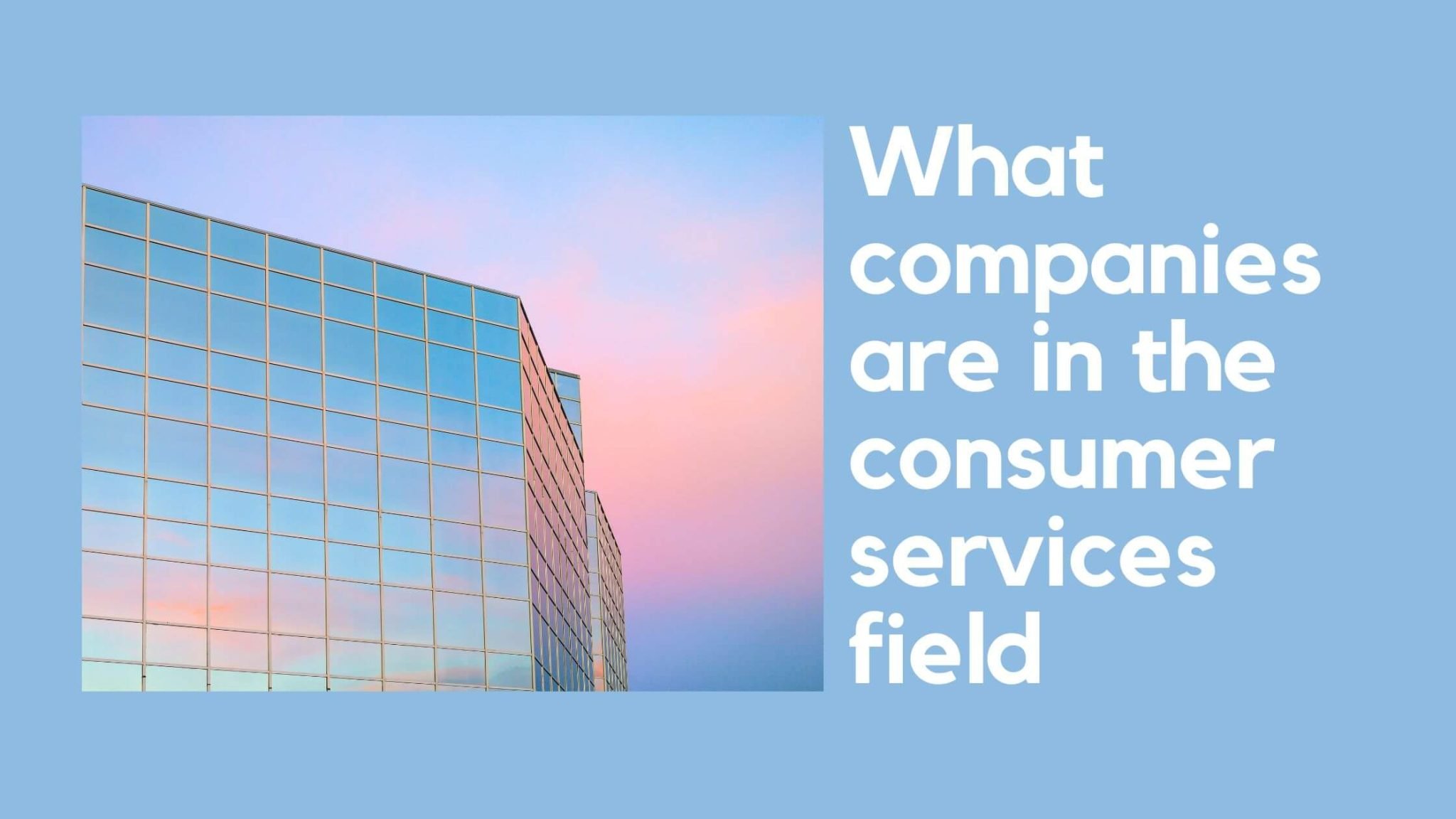 What Companies Are In The Consumer Services Field - Fastknowers