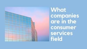 Read more about the article What companies are in the consumer services field