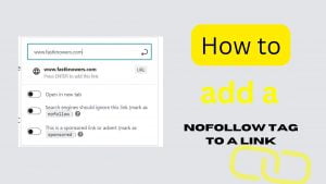 Read more about the article How to add a Nofollow tag to an external link