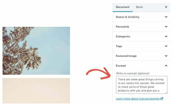 How to write excerpt on WordPress blog post