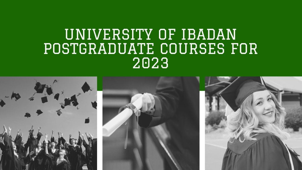 University of Ibadan Postgraduate courses for 2023