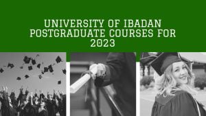 Read more about the article University of Ibadan Postgraduate courses for 2023