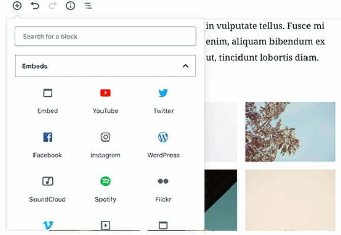 How to embed media files such as image and video on WordPress blog post