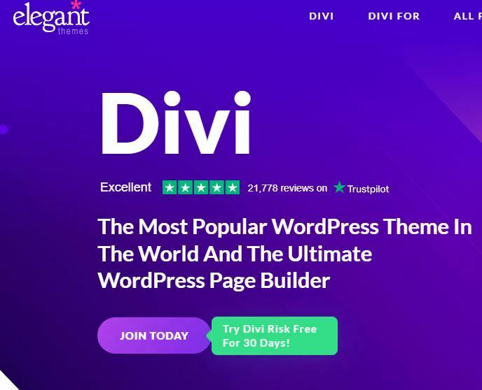 Divi WordPress theme