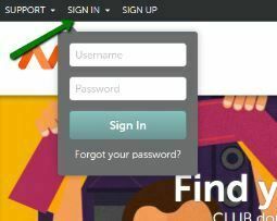 How to sign in to your web host account