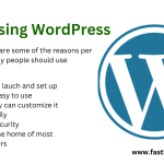 Reasons why you should use WordPress