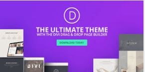 The fastest WordPress page builder, Divi