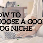 How to choose a blog niche like a professional (ultimate guide)