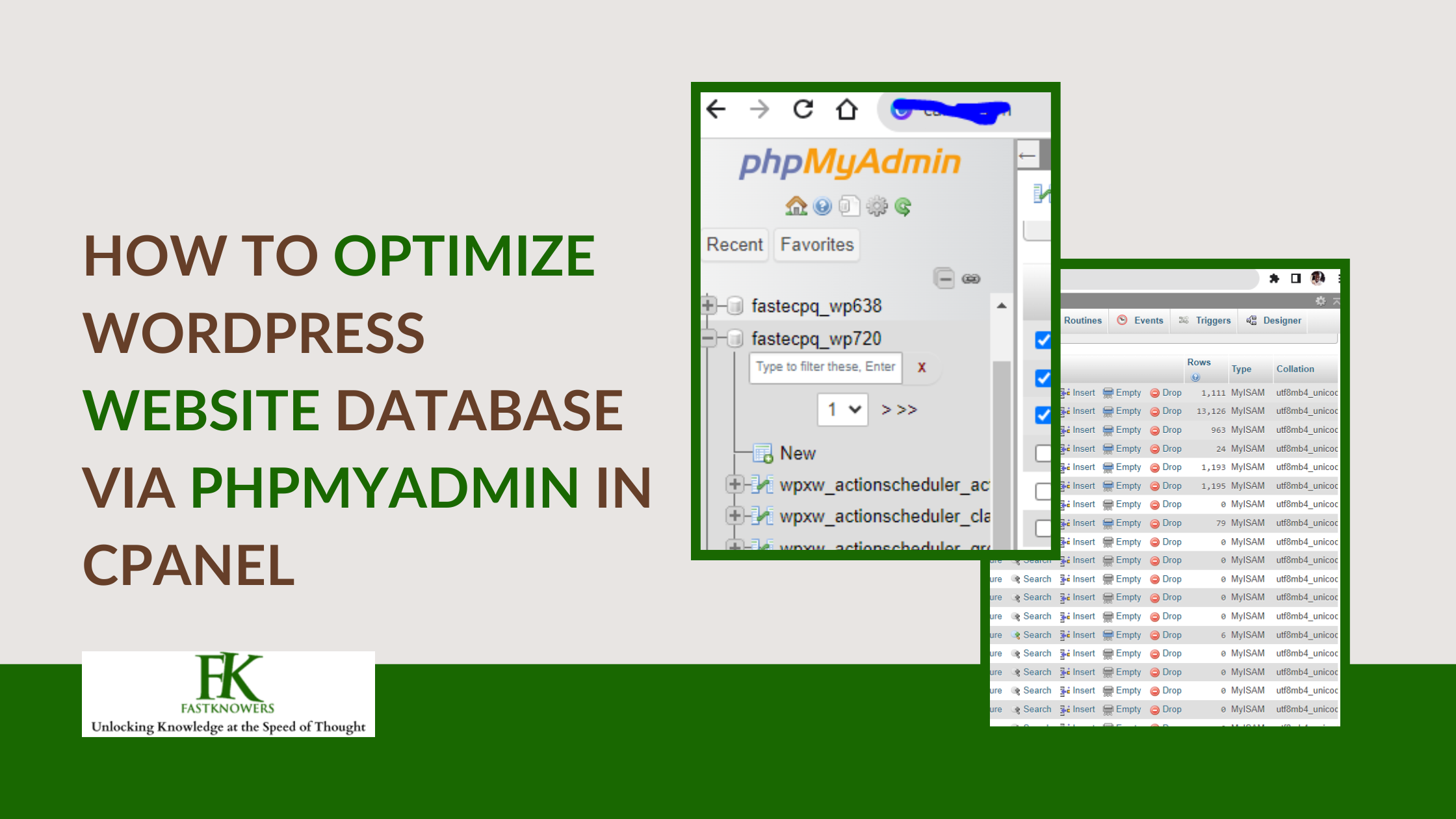 How to optimize WordPress website database via cPanel phpMyAdmin