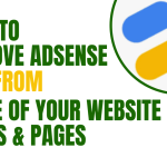 How to disable Google AdSense ads on some important specific pages and posts on your website