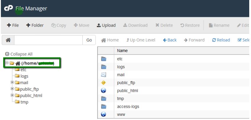 cPanel home directory