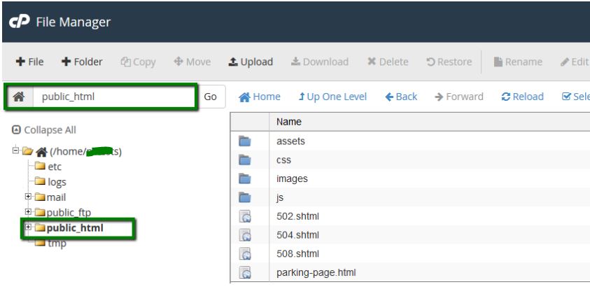 cPanel home directory public html