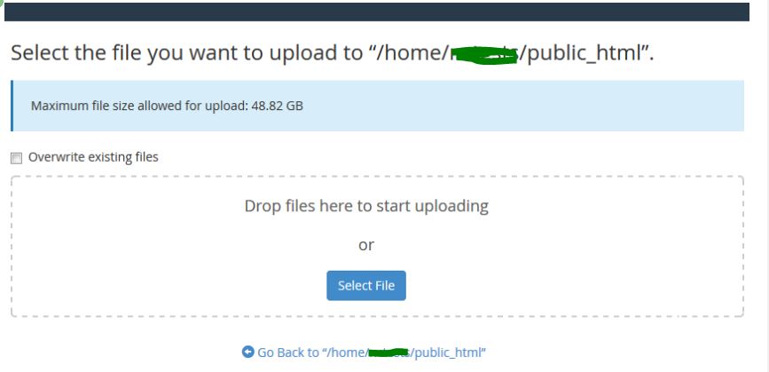 drag and drop the website files